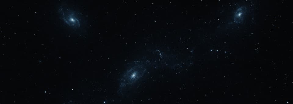 Hypha